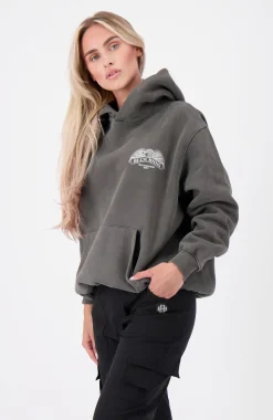 COLD CASES GEWASTE HOODIE | Grijs