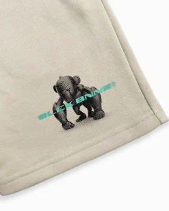 KIDS 3D CONVOY SWEATSHORTS | Grijs