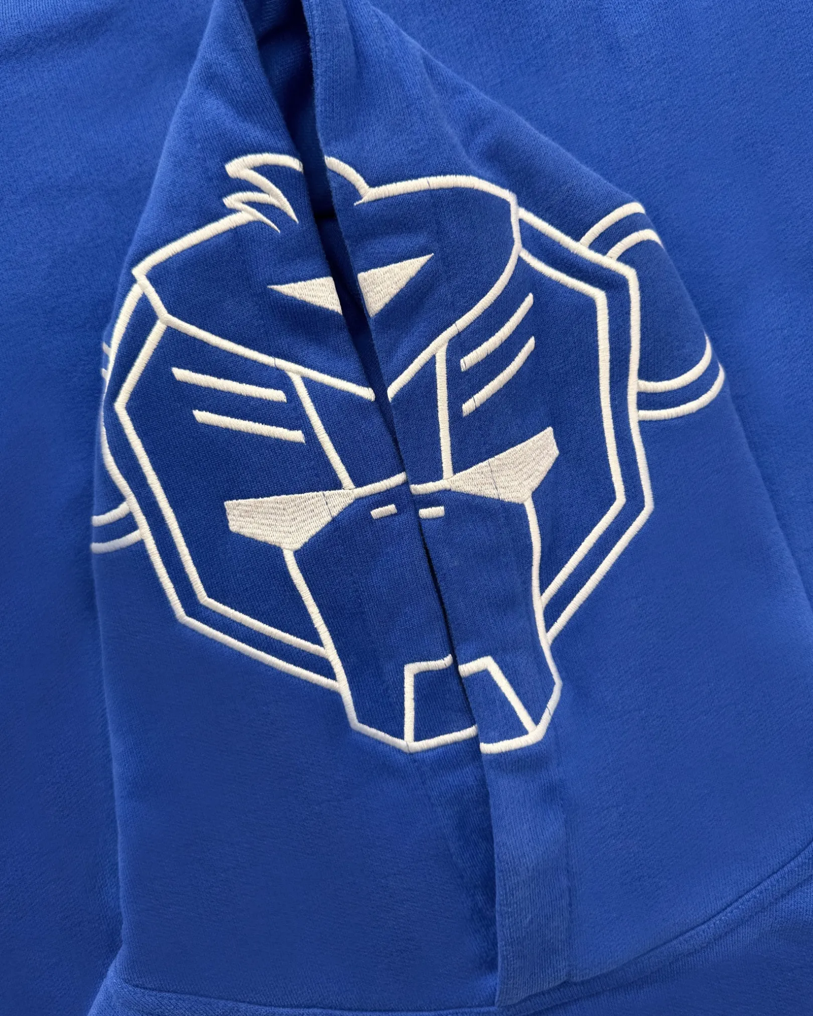 KIDS INCOGNITO HOODY | Blauw