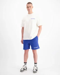 TTD SWEATSHORTS | Blauw