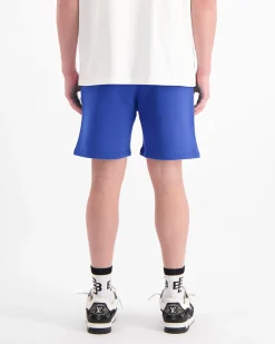 TTD SWEATSHORTS | Blauw